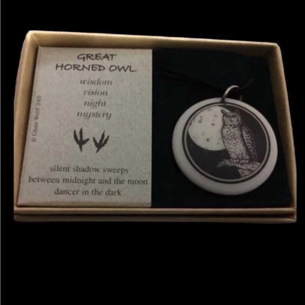 Nib - Gibson great horned owl on a rock necklace